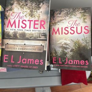 E L James series. The mister  the missus books.  Loved!